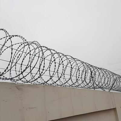 50 cm di nastro in acciaio inossidabile Concertina BTO-16 Razor Barbed Wire Fence